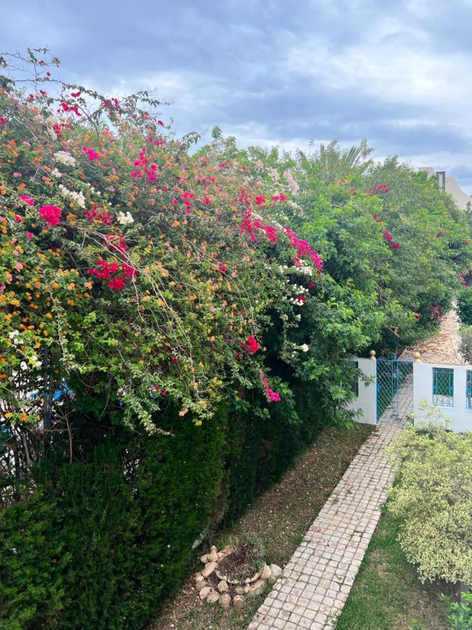 Appartement Rayhan Yasmine Hammamet Eksteriør billede
